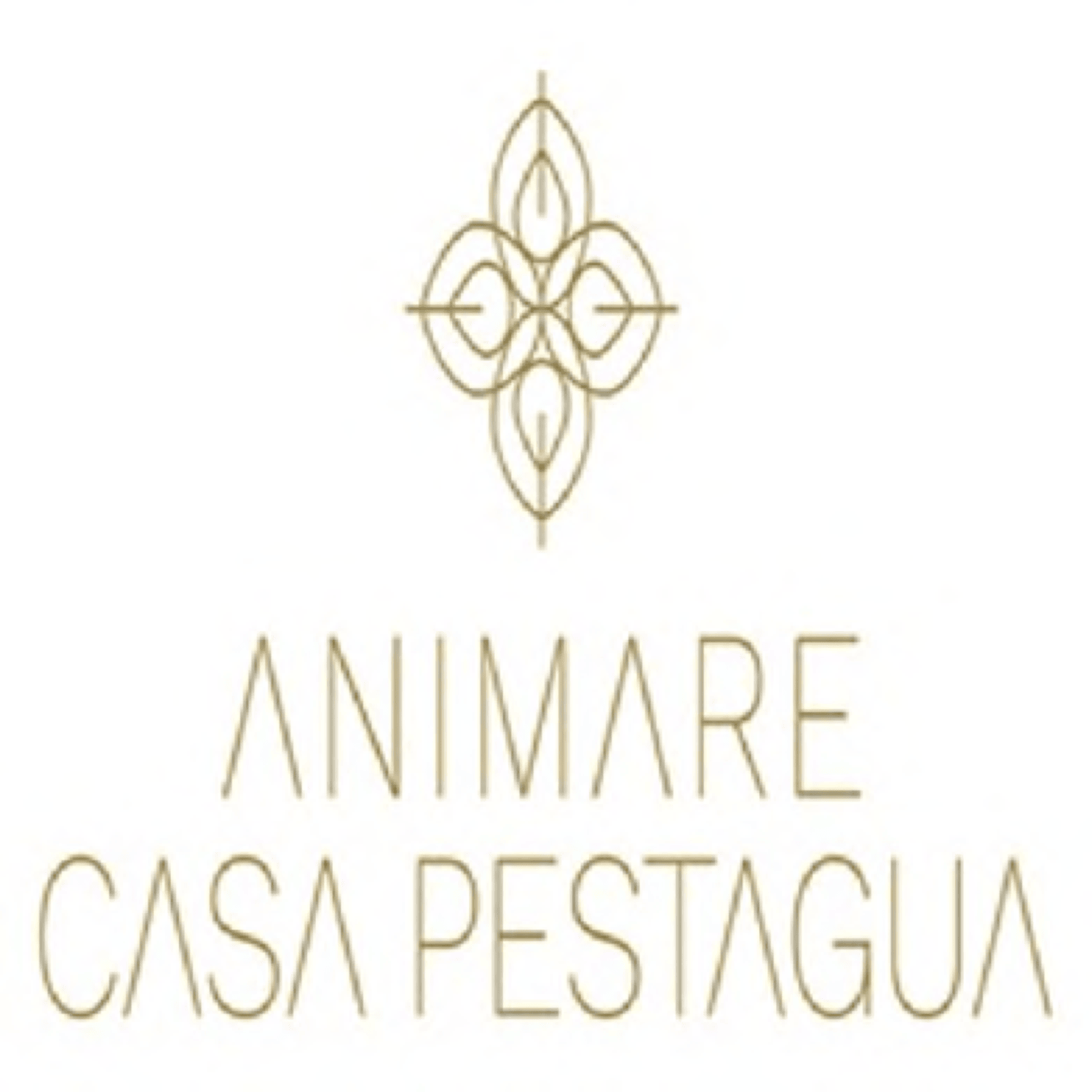 ANIMARE CASA PESTAGUA