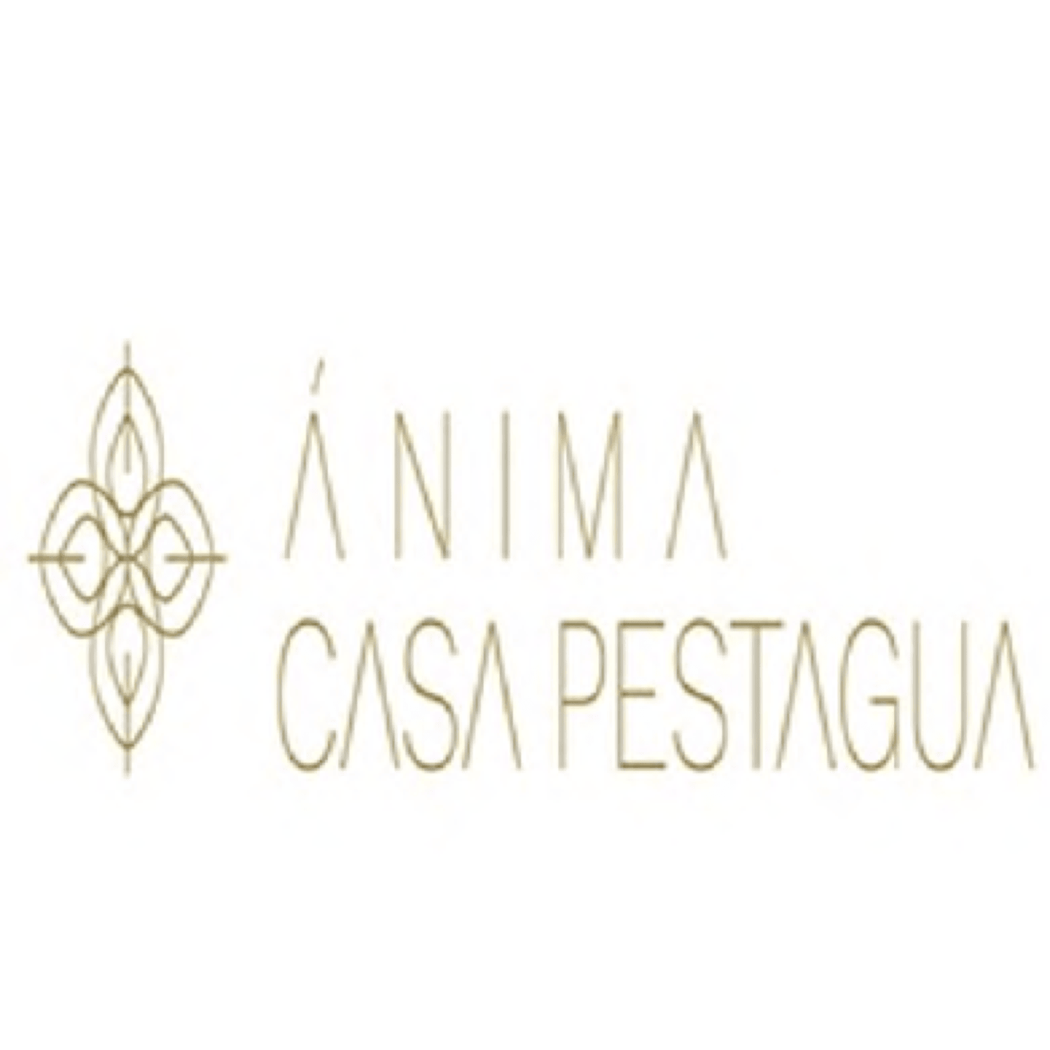 ÁNIMA CASA PESTAGUA
