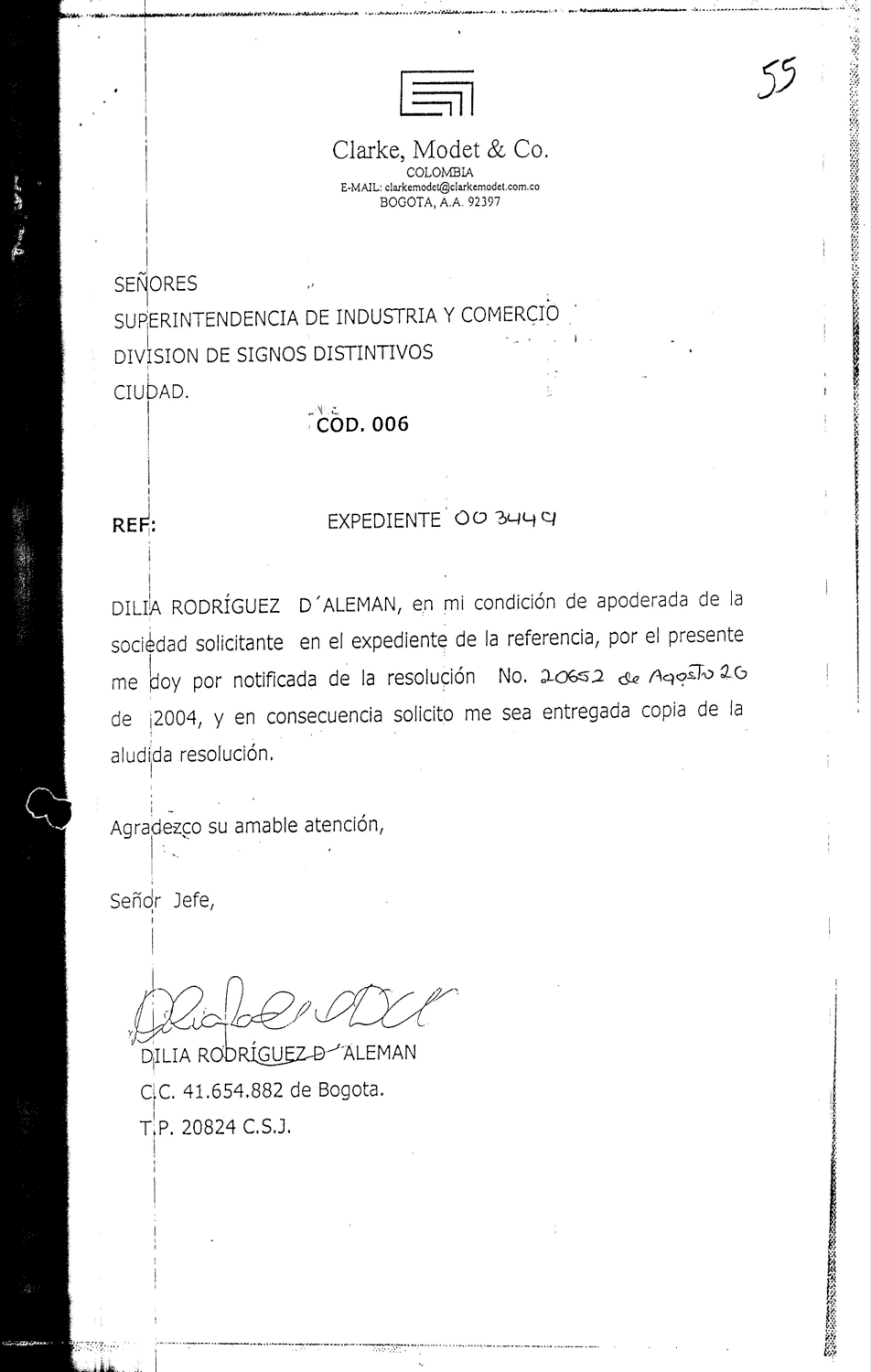TREN ELEVADO