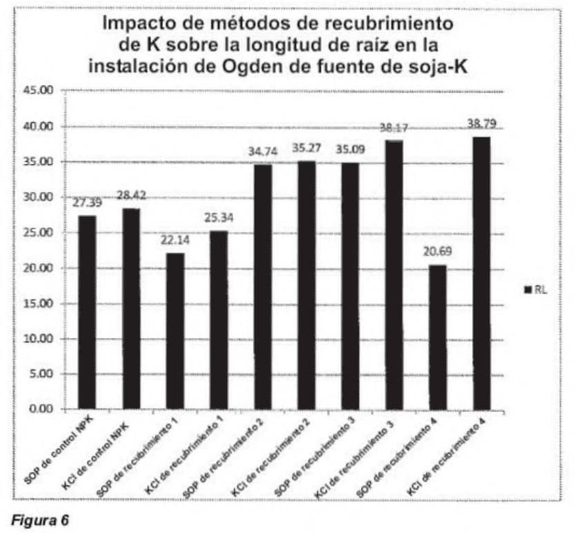 FERTILIZANTE DE ARRANQUE A BASE DE POTASIO