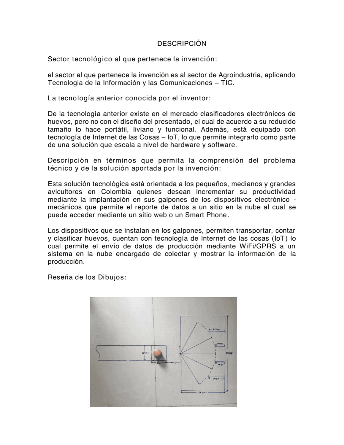 SISTEMA ELECTRÓNICO DE CLASIFICACIÓN DE HUEVOS DE GALLINA DE ACUERDO AL PESO DEL HUEVO
