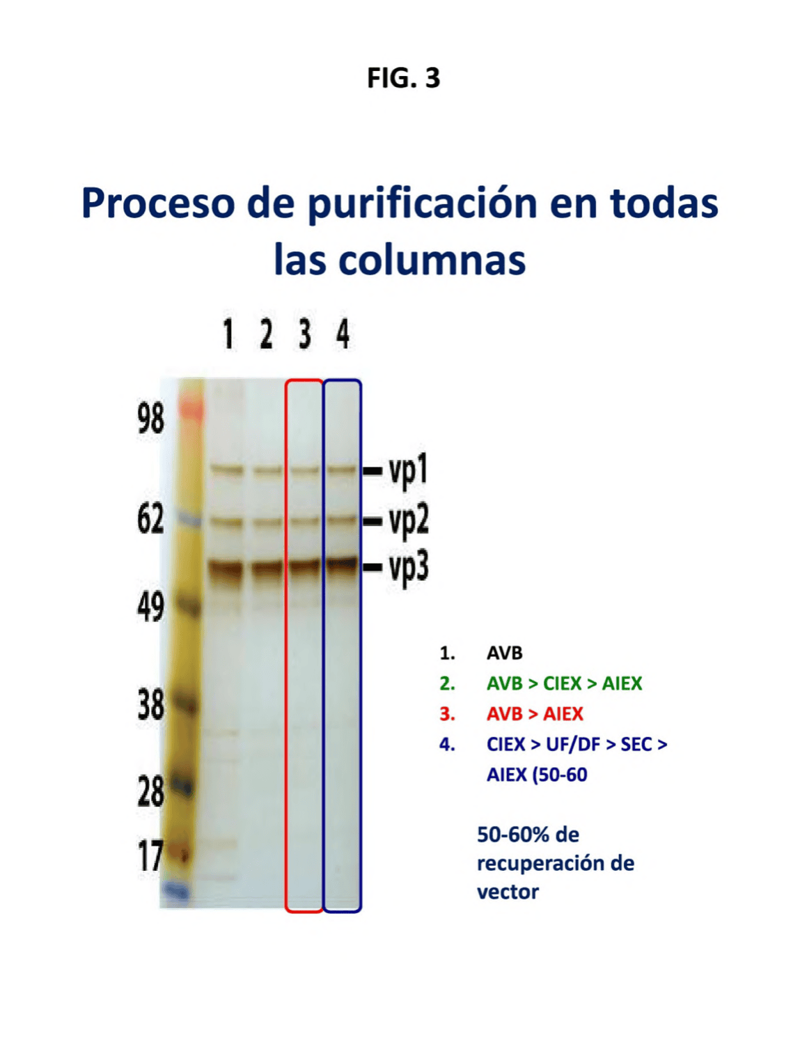 SISTEMAS Y MÉTODOS PARA PROPORCIONAR UNA VERIFICACIÓN DE IDENTIDAD PERSONAL MULTIFACTORIAL BASADA EN UNA CADENA DE BLOQUES QUE PERMITE ASIGNAR UNA DIRECCIÓN DE VERIFICACIÓN EN RELACIÓN CON UN IDENTIFICADOR DE INDIVIDUO E INFORMACIÓN BIOMÉTRICA