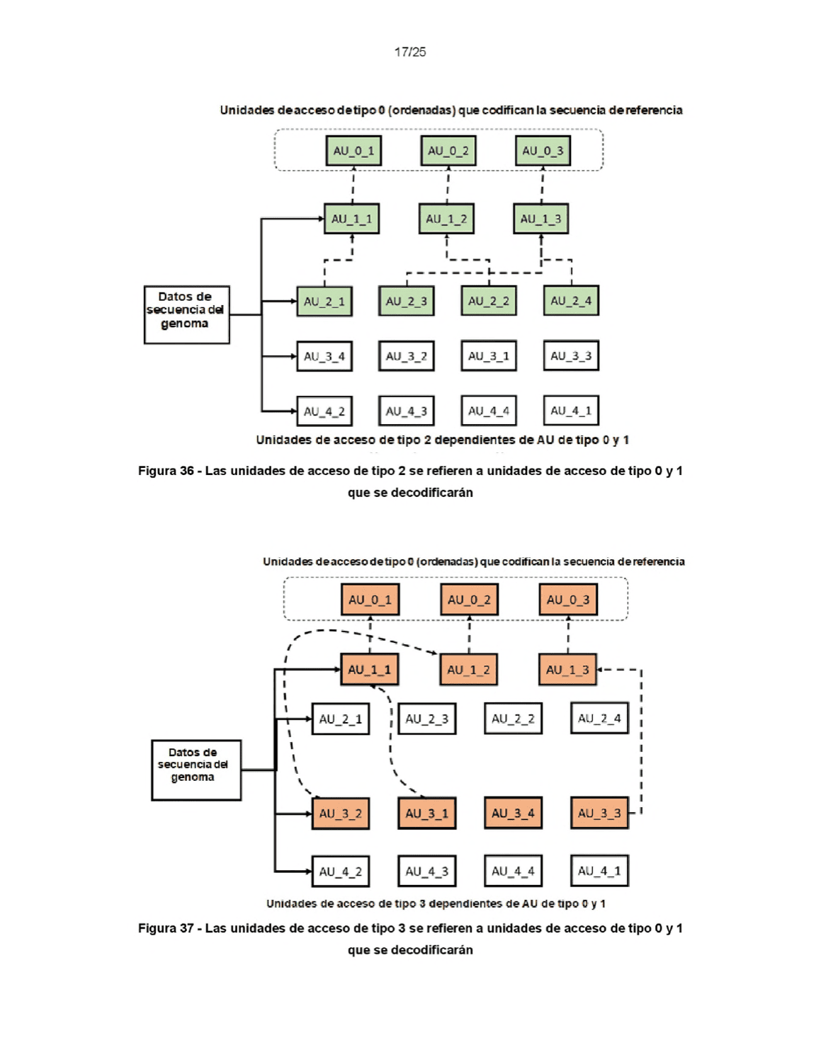 COMBINACIÓN DE AGONISTAS DE FXR