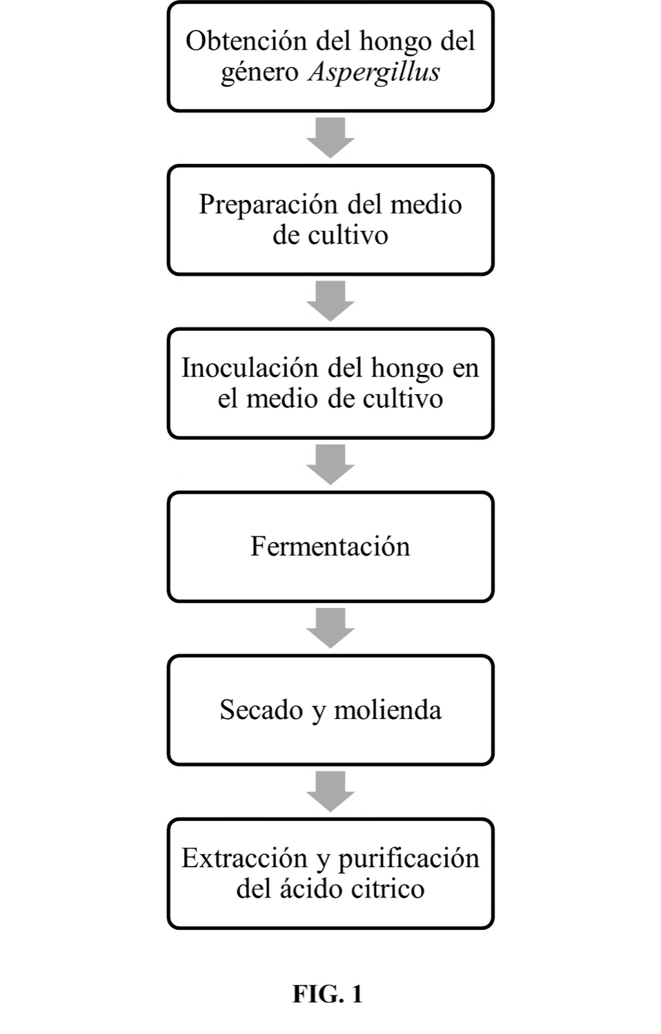 INSTRUMENTO PARA LA COMPRENSIÓN Y ASIMILACIÓN DE LA ESCRITURA MUSICAL MEDIANTE LA IMPLEMENTACIÓN DE UNA CONEXIÓN VISUAL, AUDITIVA Y COGNITIVA SENSORIAL