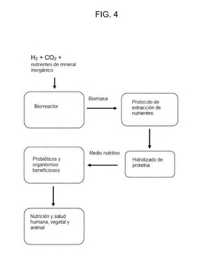 MÉTODOS, EQUIPOS Y SISTEMA PARA LA EXPOSICIÓN DE POLÍTICAS BASADA EN EL PLANO DE USUARIO EN UNA RED CELULAR
