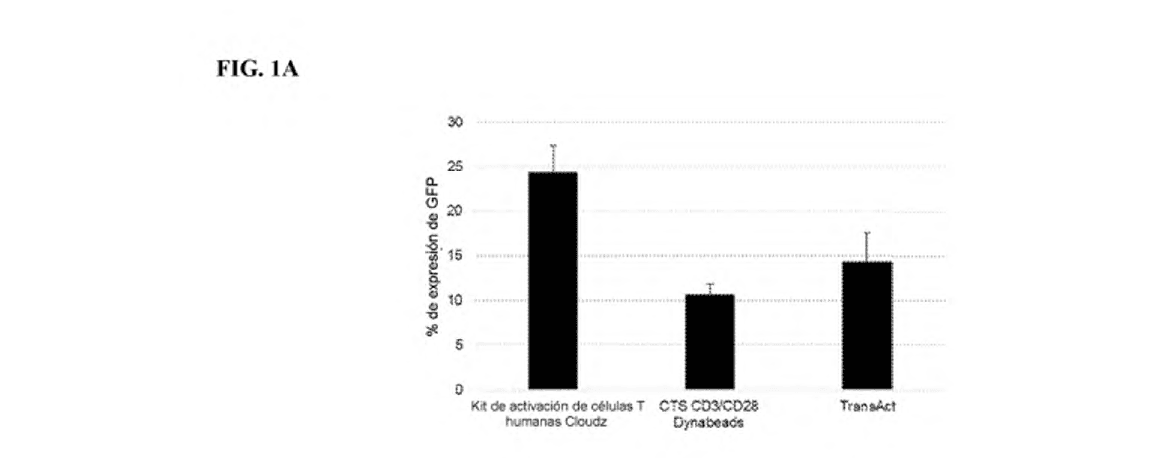 PRODUCCIÓN RÁPIDA DE CÉLULAS T