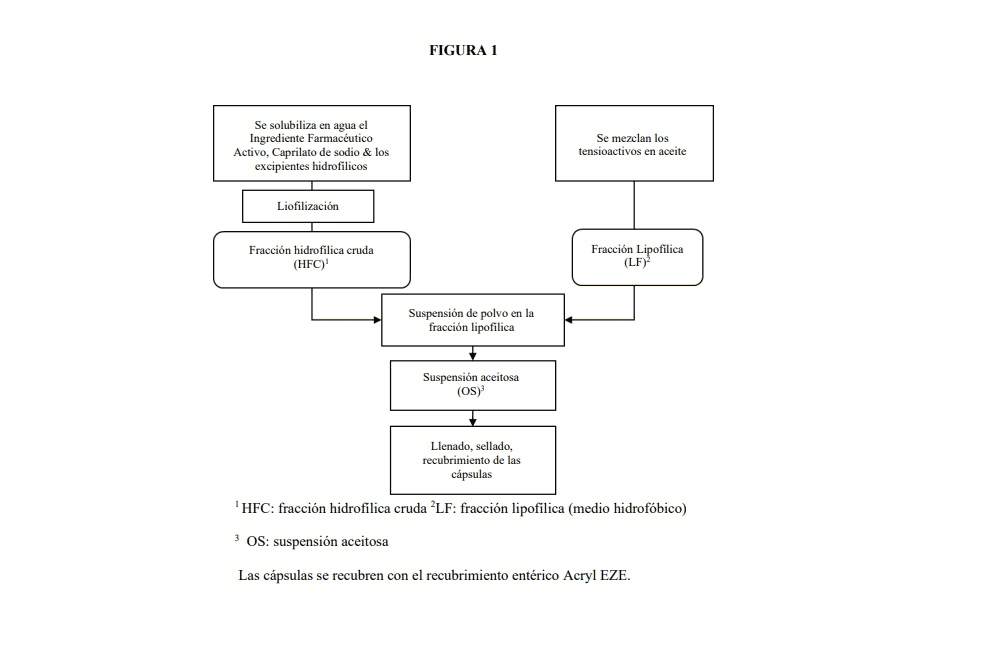 FORMAS DE DOSIFICACIÓN ORALES