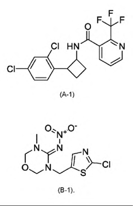 PRECURSOR DE INSULINA RECOMBINANTE