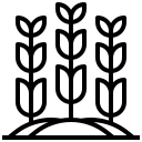 Agricultura, ganadería, caza, silvicultura y pesca